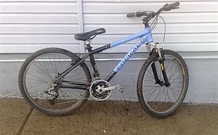 click for enlarge 800 X 496 135.1 Kb picture