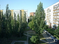 click for enlarge 1920 X 1440 379.6 Kb picture