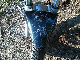 click for enlarge 640 X 480 92.1 Kb picture