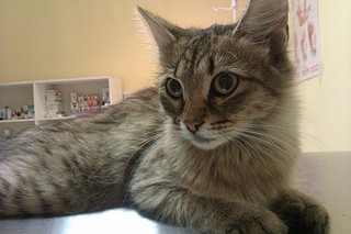 click for enlarge 1920 X 1280 519.7 Kb picture