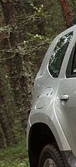 click for enlarge 164 X 361  14.4 Kb picture