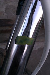 click for enlarge 1728 X 2592 652.6 Kb picture