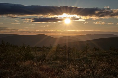 click for enlarge 1280 X 850 183.2 Kb picture