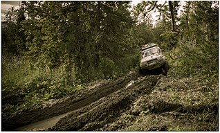 click for enlarge 1280 X 770 392.8 Kb picture