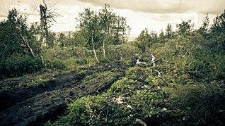 click for enlarge 1280 X 718 373.9 Kb picture