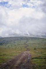 click for enlarge 678 X 1024 143.1 Kb picture