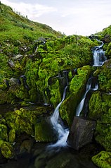 click for enlarge 678 X 1024 208.0 Kb picture