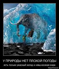 click for enlarge 660 X 774  72.1 Kb picture