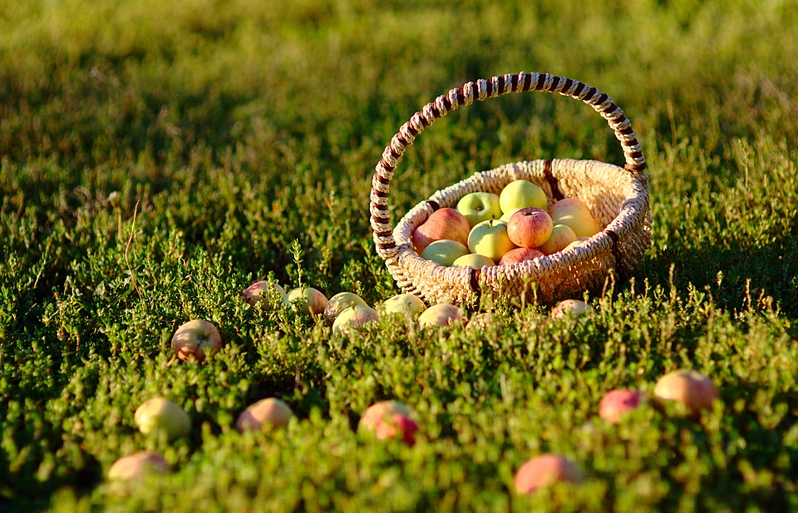 click for enlarge 1920 X 1233 241.9 Kb picture