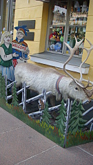 click for enlarge 1080 X 1920 837.6 Kb picture