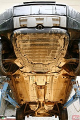 click for enlarge 800 X 1200 339.1 Kb picture