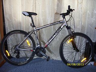 click for enlarge 1095 X 821 160.2 Kb picture