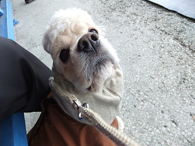 click for enlarge 1920 X 1440 528.3 Kb picture