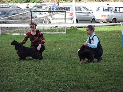 click for enlarge 1920 X 1440 606.7 Kb picture