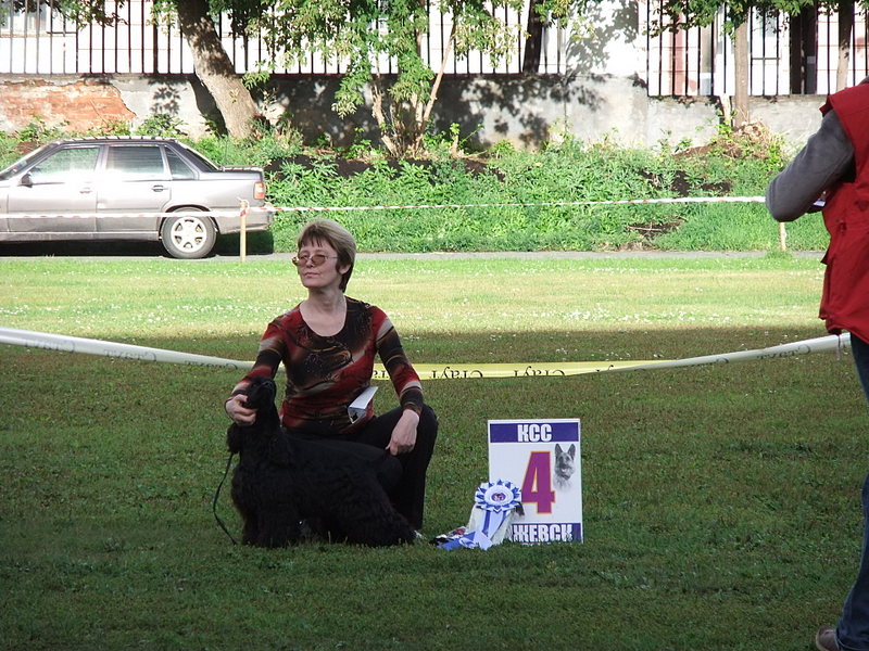 click for enlarge 1920 X 1440 627.7 Kb picture