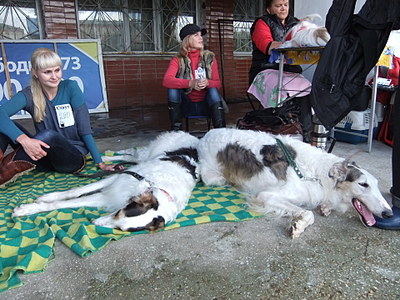 click for enlarge 1920 X 1440 641.9 Kb picture