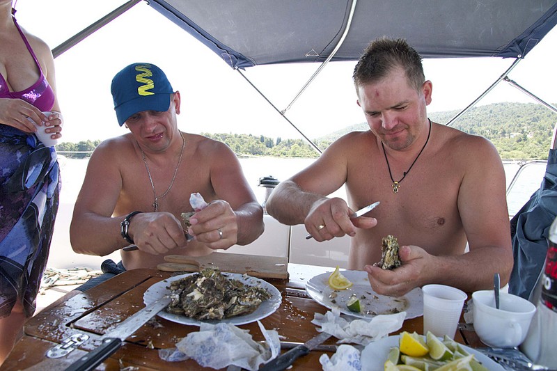 click for enlarge 1920 X 1280 452.8 Kb picture