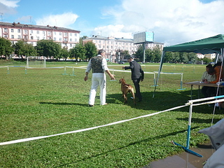 click for enlarge 1920 X 1440 450.2 Kb picture