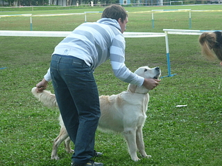 click for enlarge 1920 X 1440 267.8 Kb picture