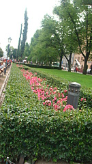 click for enlarge 1080 X 1920 688.4 Kb picture