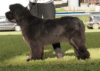 click for enlarge 1024 X 727 318.7 Kb picture