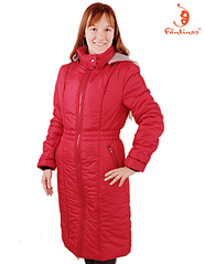 click for enlarge 512 X 662 123.1 Kb picture