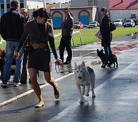 click for enlarge 1473 X 1303 477.9 Kb picture