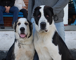 click for enlarge 1907 X 1496 682.3 Kb picture