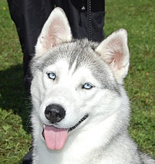 click for enlarge 996 X 1054 316.9 Kb picture