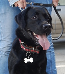 click for enlarge 1042 X 1181 342.3 Kb picture