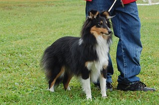 click for enlarge 1250 X 826 292.6 Kb picture