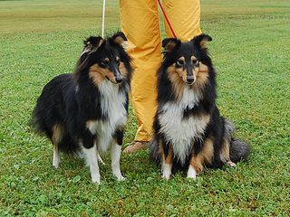 click for enlarge 1008 X 756 225.3 Kb picture