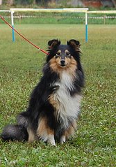 click for enlarge 573 X 820 151.7 Kb picture