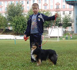 click for enlarge 1036 X 941 270.9 Kb picture