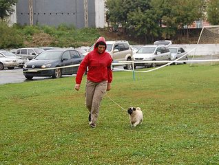 click for enlarge 1250 X 941 281.1 Kb picture