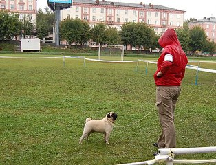 click for enlarge 1210 X 924 391.4 Kb picture