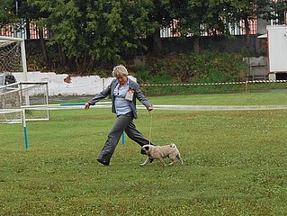 click for enlarge 860 X 646 166.0 Kb picture