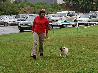 click for enlarge 1390 X 1031 394.7 Kb picture