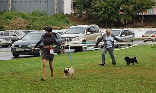 click for enlarge 1632 X 979 415.3 Kb picture