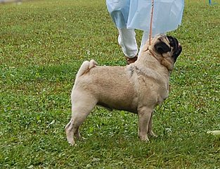 click for enlarge 716 X 548 156.9 Kb picture