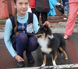 click for enlarge 1612 X 1421 510.0 Kb picture