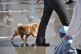 click for enlarge 800 X 532 97.9 Kb picture