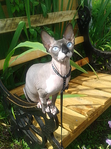 click for enlarge 1920 X 2560 389.9 Kb picture