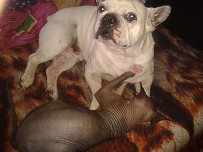 click for enlarge 1920 X 1440 790.6 Kb picture