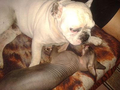 click for enlarge 1920 X 1440 757.1 Kb picture