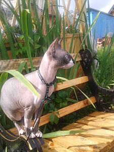 click for enlarge 1920 X 2560 416.6 Kb picture