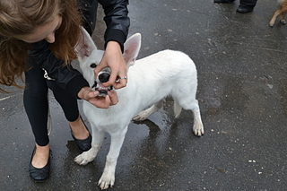 click for enlarge 1920 X 1280 164.8 Kb picture