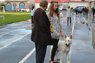 click for enlarge 1920 X 1280 1010.8 Kb picture