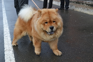 click for enlarge 1920 X 1280 180.1 Kb picture