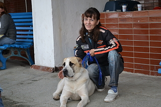 click for enlarge 1920 X 1280 170.1 Kb picture